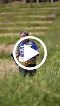 BIB:  <button type="button" onclick="openModal(26787503)" class="btn btn-primary btn-sm float-right" data-toggle="modal" data-target=".modal-high-quality">
                <i class="fa fa-download"></i> Download
                </button>